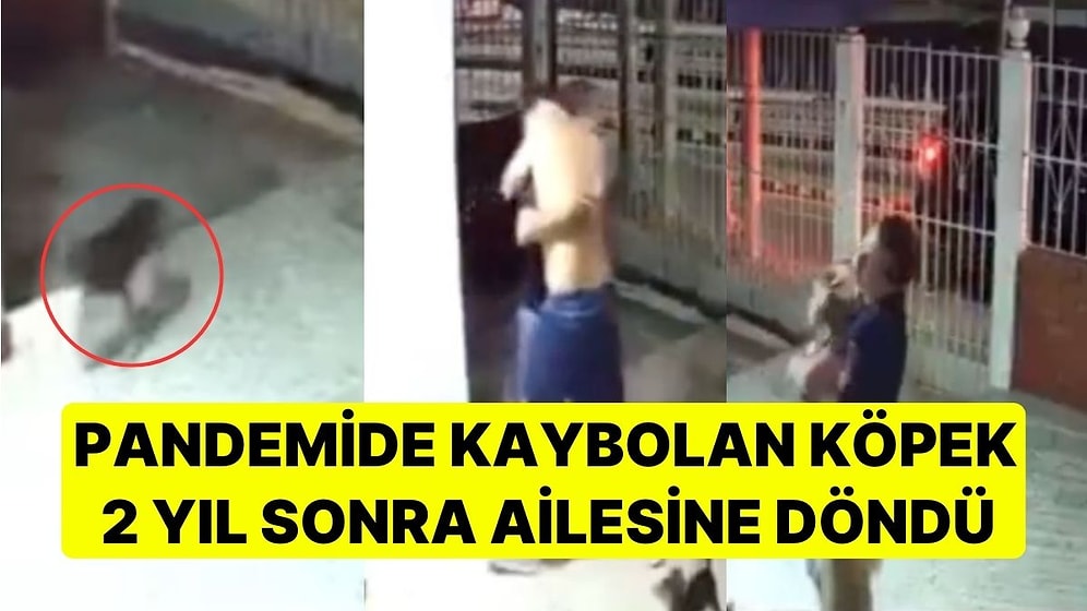 Pandemiden Sonra Kaybolan Köpeklerinin Geri Döndüğünü Gören Ailenin Sevinci İzleyenleri Duygulandırdı