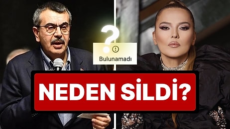 Milli Eğitim Bakanı Yusuf Tekin'in İstifasını İsteyen Demet Akalın Attığı Tweeti Sildi!