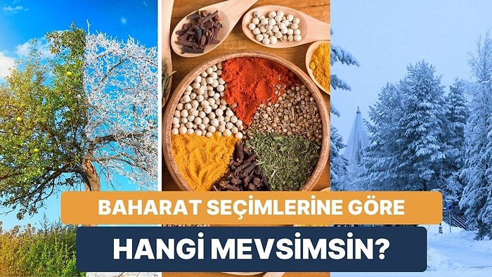 Yemekte Baharat Seçimlerine Göre Hangi Mevsimi Temsil Ediyorsun?