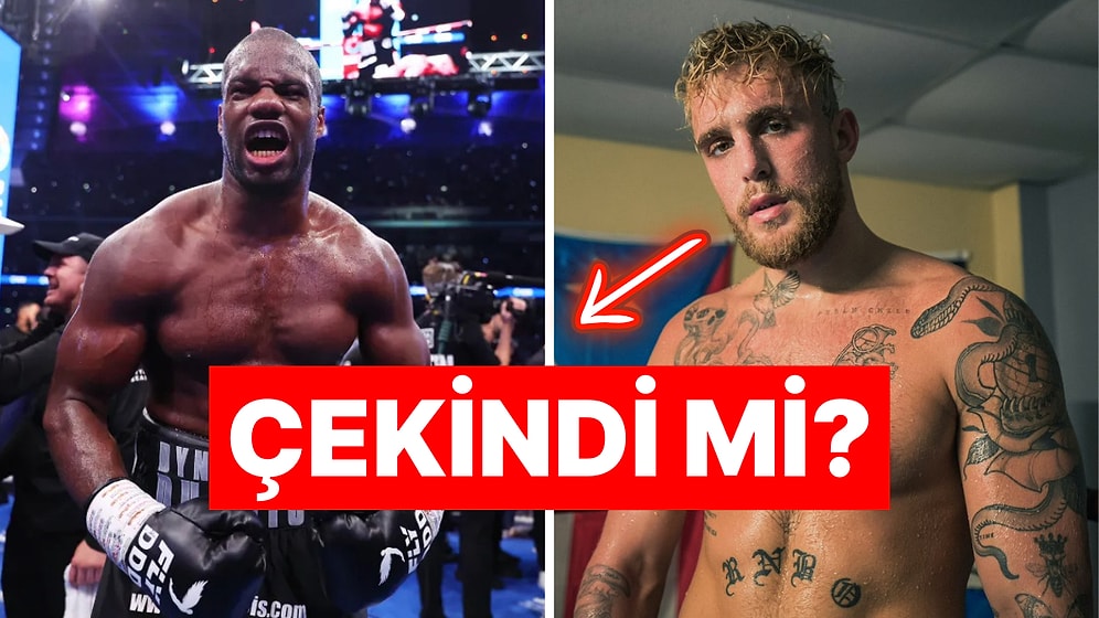 Mike Tyson'ı Yenen Jake Paul Dünya Şampiyonu Daniel Dubois'in Maç Teklifini Küçümsedi!