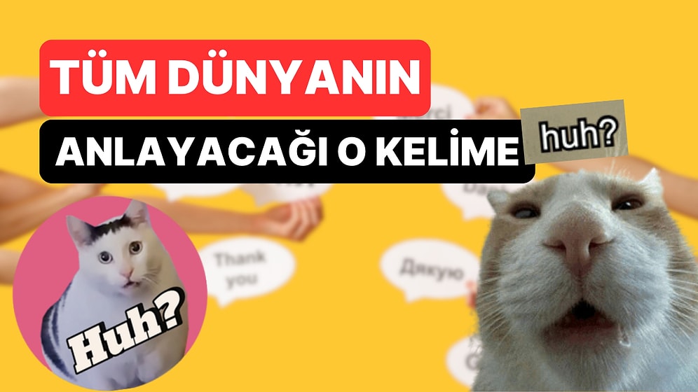 Dünyanın Neresine Giderseniz Gidin Bu Kelimeyi Söylediğinizde Sizi Anlarlar!