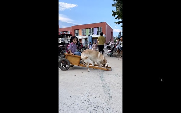 Birlikte okula gidip gelen ikilinin sevimli anları izleyenlerin kalplerini ısıttı.