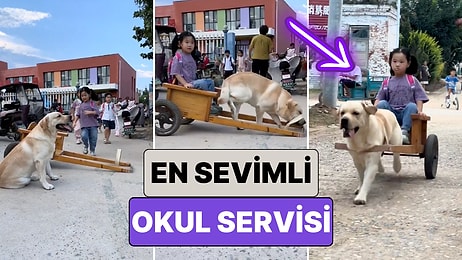 Babasının Yaptığı Araç Sayesinde Okula Patili Dostuyla Giden Minik Kızın Kalpleri Isıtan Yolculuğu