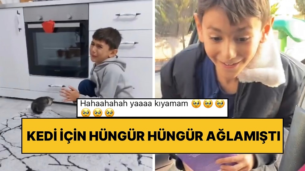 Kedi Sahiplenmek İçin Hüngür Hüngür Ağladığı Videoyla Tanımıştık: Beklenen Mutlu Son Yaşandı!