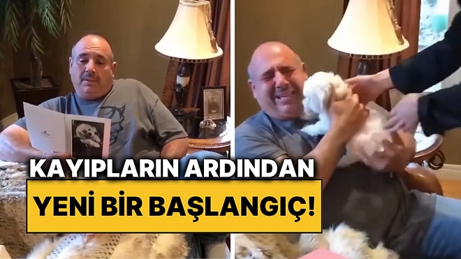 İki Köpeğini Kaybeden Babaya Yaralarını Saracak Yavru Bir Köpek Getirilince Gözyaşlarını Tutamadı