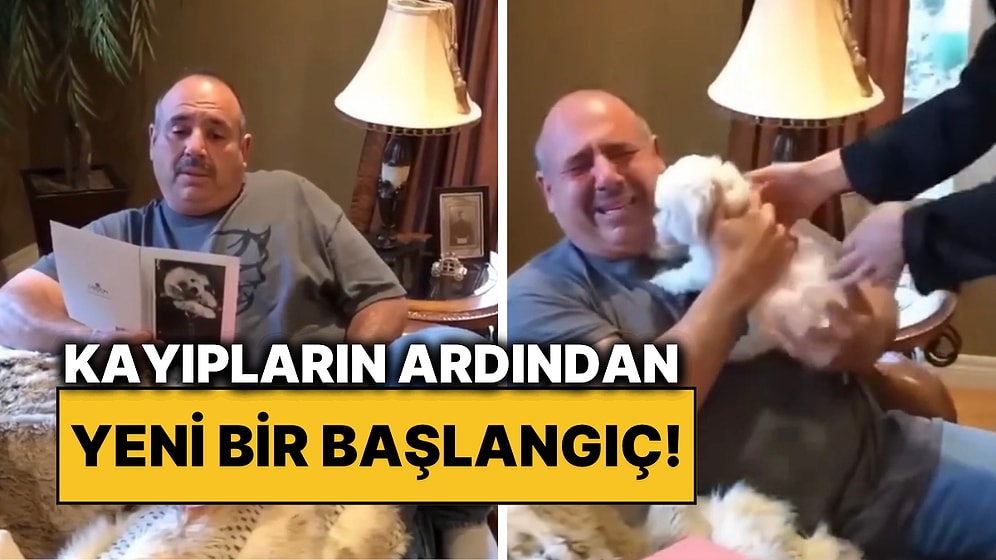 İki Köpeğini Kaybeden Babaya Yaralarını Saracak Yavru Bir Köpek Getirilince Gözyaşlarını Tutamadı