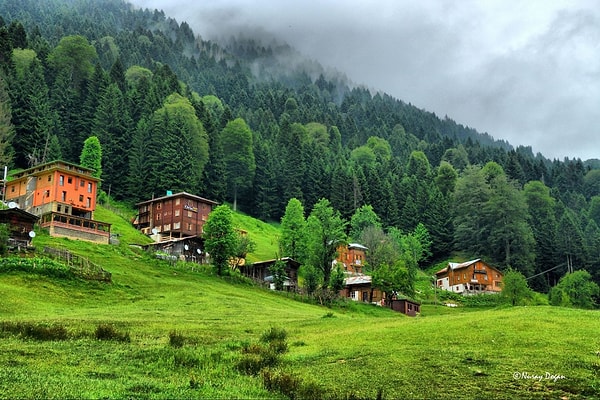 3. sırada Rize yer aldı. Güven oranı yüzde 85,3 çıktı.