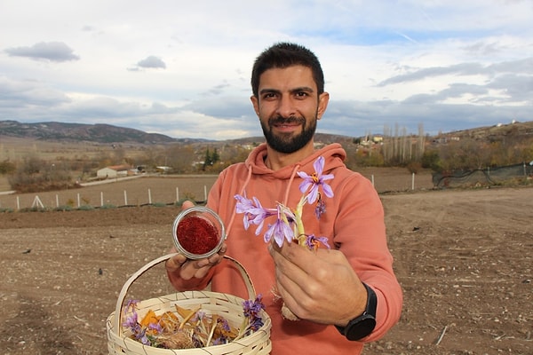 Ramazan Boğa, şimdi 35 yaşında. Amasya Üniversitesi’nden mezun olunca genç yaşında iş bulamadığı için köyüne dönmek zorunda kaldı. Köyde geçirdiği vakitlerde boşa durmayan Boğa, safran çiçeğine merak saldı.