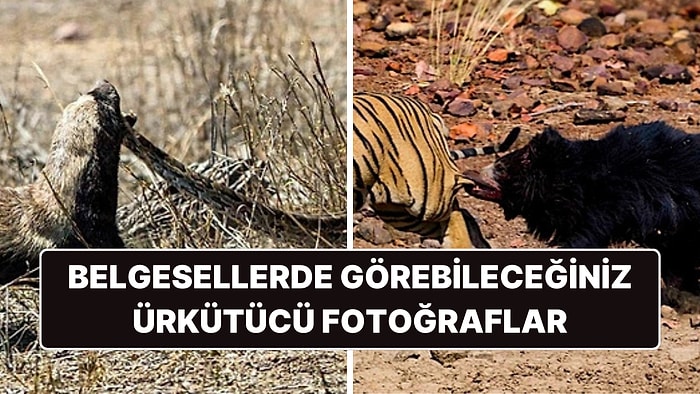 Doğanın Korkutucu Yüzünü İliklerinize Kadar Hissetmenize Sebep Olacak Birbirinden Ürkütücü 15 Yeni Fotoğraf