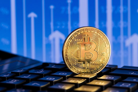 Bitcoin Hits New Record High: 128% Surge Brings It Closer to $100K in 2024