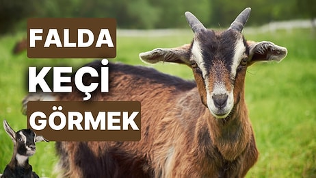 Falda Keçi Görmek Ne Anlama Gelir? Her Şeyi Mücadeleniz ve İnadınız Belirleyecek!