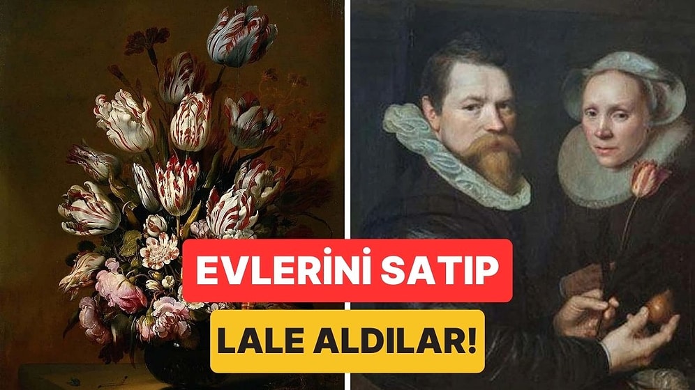 İnsanların Evlerini Satıp Çılgınca Çiçek Aldığı Dönem: 1600'lerin Bitcoin’i "Lale Çılgınlığı"