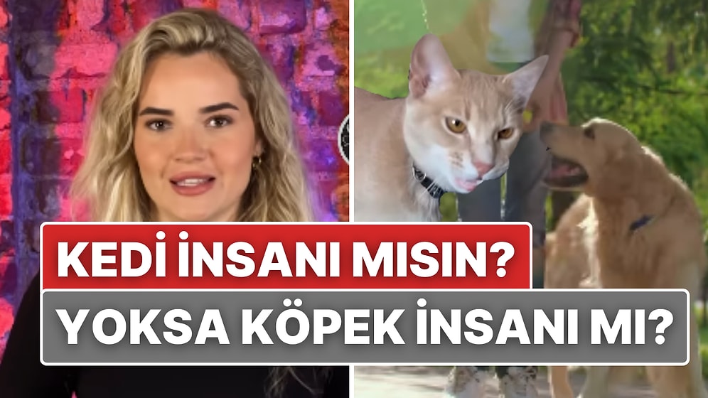 Kedi İnsanı ve Köpek İnsanı Arasındaki Farklar Neler Olabilir?