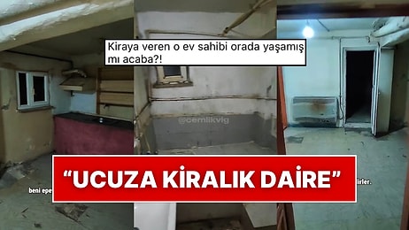 Bir İçerik Üreticisi İstanbul Pendik’te 5 Bin TL’ye Kiraya Verilen Daireyi Gezdi