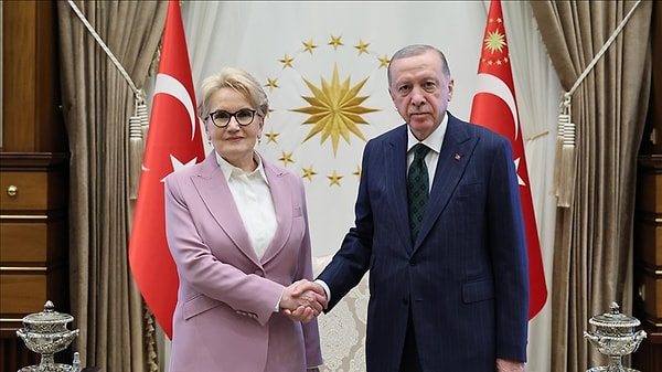 Akşener, sonrasında Cumhurbaşkanı Recep Tayyip Erdoğan’ı ziyaret etmişti. Ziyaret sonrasında Cumhurbaşkanı Erdoğan’ın avukatı Hüseyin Aydın, Erdoğan'ın Meral Akşener hakkındaki dava ve şikayetlerinden vazgeçtiğini açıklamıştı.