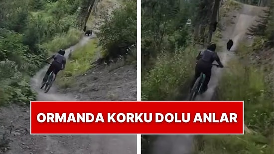 Ekstrem Spor Sevdalıları Ormanda Bisiklet Sürerken Karşılaştıkları Ayılardan Hem Korktular Hem de Korkuttular