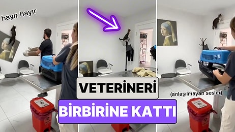 Kedinin İçinden Savaşçı Çıktı: Bir Kedi Veteriner Muayenesi Sırasında Ortalığı Birbirine Kattı