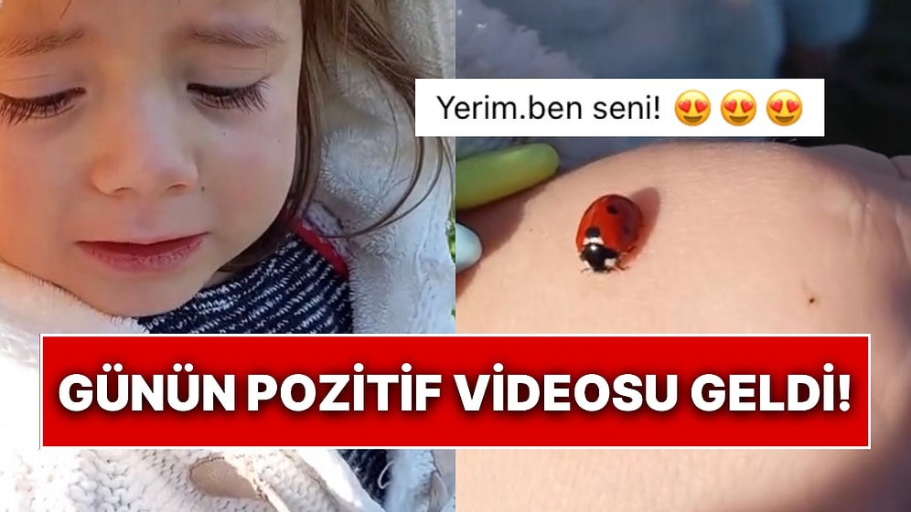 Eline Konan Uğur Böceğine Sinirlenen Tatlı Çocuk Kızdığı Anlarla Kalpleri Eritti