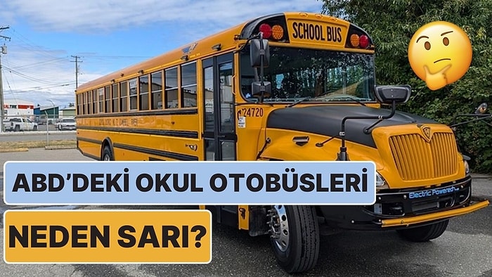 Filmlerde Sıkça Gördüğümüz ABD'deki Okul Otobüsleri Neden Bizdekilerin Aksine Sarı?