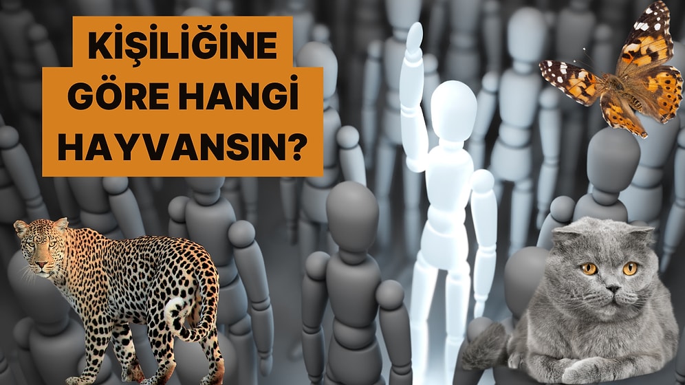 Hangi Hayvan Senin İçindeki Gücü Yansıtıyor?