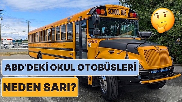 12. Filmlerde Sıkça Gördüğümüz ABD'deki Okul Otobüsleri Neden Bizdekilerin Aksine Sarı?