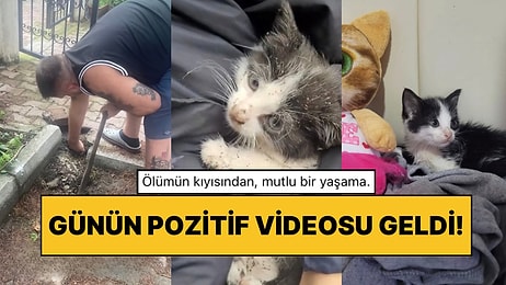 İyi İnsanlar İyi ki Var: Boruya Sıkışan Kediyi Kurtararak Sahiplendiren Hayvanseverler Alkışları Topladı