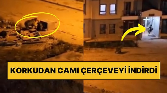 Kars Sarıkamış’ta Çöplerden Yemek Aramaya Gelen Ayı Vatandaşı Kovalayınca Cam Çerçeve İndi