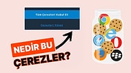 İnternette Gezinirken Hep Gördüğümüz ''Çerezleri Kabul Et'' Seçeneğine Tıklayınca Ne Oluyor?