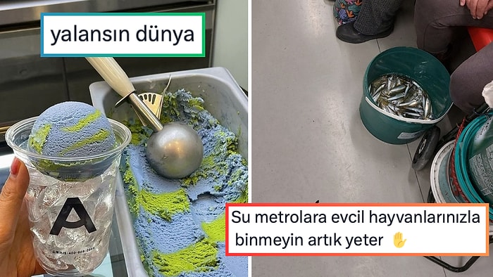 En Uzun Geceyi Uyuyarak Geçirenden Dubai Mantısına Son 24 Saatin Viral Tweetleri