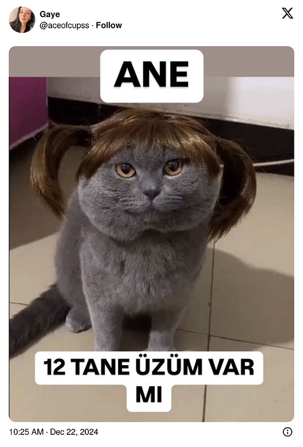 Yılbaşı üzümleri hazır mı?