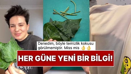 Bir Yaşımıza Daha Girdik: Duvar Sarmaşığı ile Çamaşır ve Bulaşıklardaki Lekelere Anında Çözüm