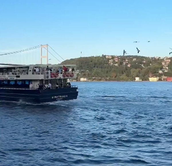 Şehrin gürültüsünden uzaklaşarak, İstanbul’un sessizliğinde kaybolan ve dinlenmeye davet eden bu görüntüler, şehrin farklı bir yönünü keşfetmek isteyenler için ilham verici oldu.