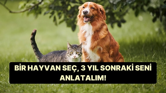 Bir Hayvan Seç, 3 Yıl Sonraki Seni Anlatalım!