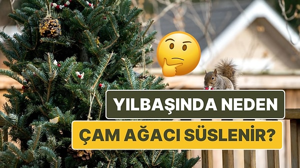 13. Yılbaşında Çam Ağacı Neden Süslenir? Bu Geleneğin Kökeni Sizi Bir Miktar Şaşırtabilir!