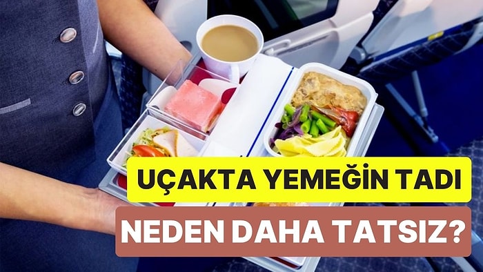 Uçakta Yediğimiz Yemeğin Tadı Neden Normalde Yediklerimize Kıyasla Daha Tatsızdır?