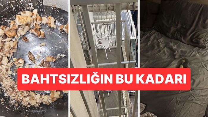 Çöle Düşse Kutup Ayılarıyla Karşılaşıp Birtakım Tatsız Olaylar Yaşayabilecek Bahtsız Kişiler