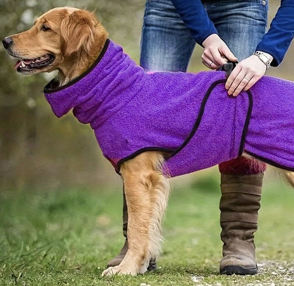 jileijar Köpek Bornoz Havlu