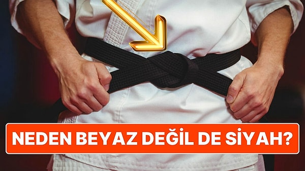 12. Birçok Sporda Siyah Kuşak Neden En Yüksek Seviye Olarak Kabul Ediliyor?