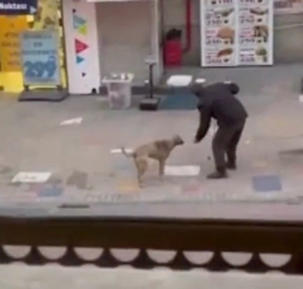 Görme engelli satıcı, yanındaki mamaları dikkatlice sokak köpeklerine bıraktı.  İnsanlık dersi veren bu anlamlı davranış, kameraya alınarak sosyal medyada paylaşıldı.