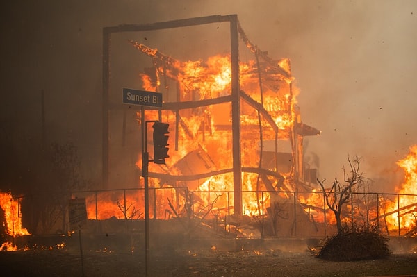 Pacific Palisades bölgesindeki yangında 17 bin 234 dönüm, Altadena'daki Eaton yangınında 13 bin 600 dönüm, San Fernando'nun kuzeyindeki Hurst yangınında 855 dönüm, Acton yakınlarındaki Lidia yangınında 348 dönüm, Hollywood Hills’teki Sunset yangınında ise 60 dönüm arazi kül oldu.