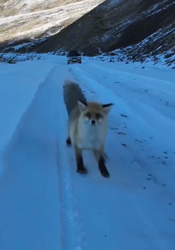 Ne yazık ki drone’un son hali içler acısıydı. Geriye ise bu video kaldı.