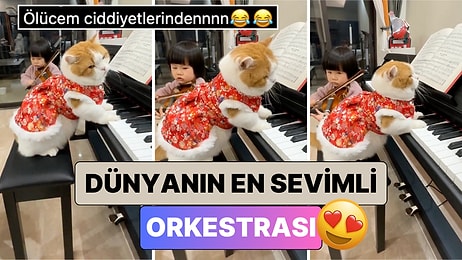 Dünyanın En Sevimli Orkestrası ile Tanışın: Minik Kızın Kedisiyle Verdiği Konsere Bayılacaksınız