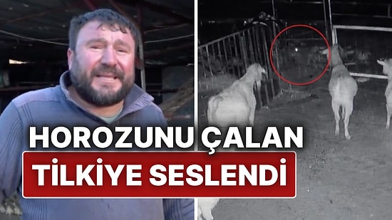 Zavadanak Bekir’den Tilkiye Sitem: “Hasım Olmayalım, Horozun Parasını Getir!”