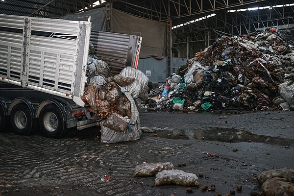 Bitki hastalığı tespit edilen 2 bin 500 ton patatesin imhası Mersin'de devam ediyor. Mersin Zirai Karantina Müdürü Şeref Kabaoğlu, imha işleminin yürütüldüğü Tarsus ilçesindeki TURYAM Geri Kazanım ve Bertaraf Tesisi'nde basın mensuplarına açıklama yaptı.