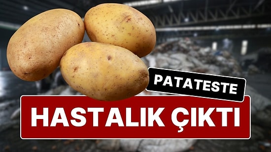 Yemeklerimizin Vazgeçilmezi, En Çok Tükettiğimiz Besinlerden Biri Olan Patateste Hastalık Tespit Edildi!