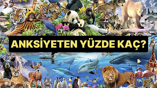 Bir Hayvan Seç, Yüzde Kaç Anksiyete Duygusu Taşıyorsun Söyleyelim!