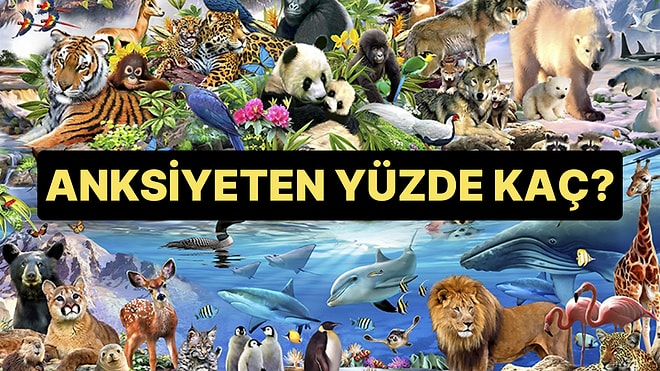 Bir Hayvan Seç, Yüzde Kaç Anksiyete Duygusu Taşıyorsun Söyleyelim!