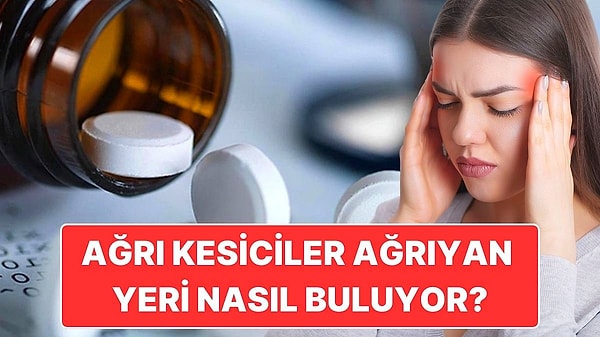 17. Ağrı Kesiciler Nasıl Oluyor da Ağrıyan Yerin Nerede Olduğunu Şıp Diye Bulabiliyor?