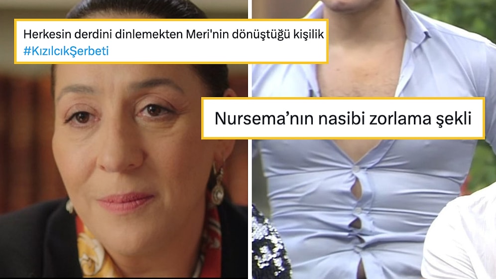 Kızılcık Şerbeti'ni Mizahına Alet Ederek Hepimizi Güldüren Goygoyseverler