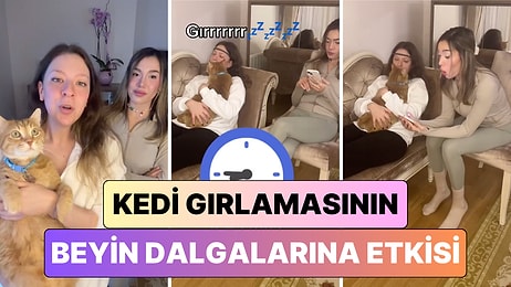 Sonunda Biri İnceledi: Kedi Gırlamasının Beyin Dalgaları Üzerinde Gerçekten Bir Etkisi Var mı?